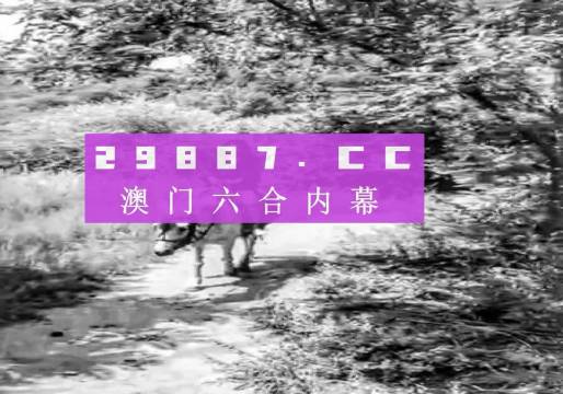 澳门六肖王小胖图片最新版大全集，探索神秘背后的故事，澳门六肖王小胖图片最新版探索，神秘故事背后的真相