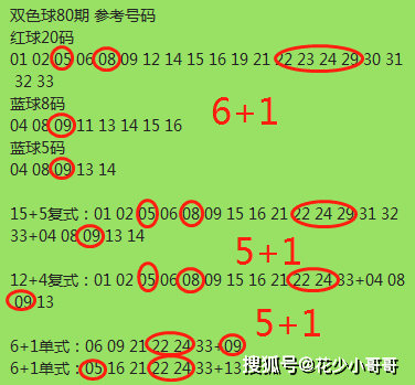 澳门六肖王今晚开奖结果的生肖解析与视频讲解，澳门六肖王今晚开奖结果的生肖解析及视频直播预告
