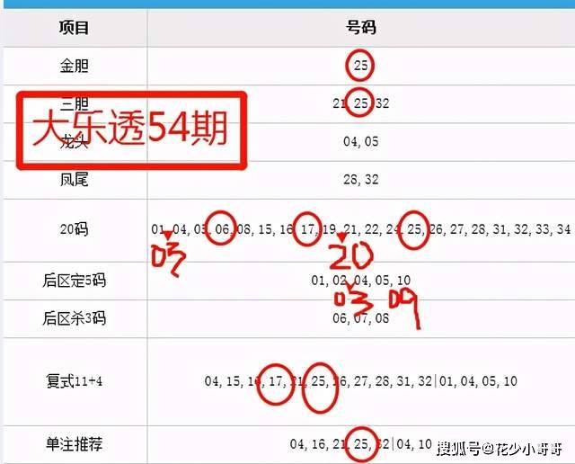 澳门六肖期期中十开奖结果解析，澳门六肖期期中开奖结果深度解析